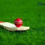 Cricket Betting Concept with JeetBuzz